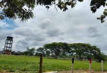 Bocas Del Palo景点图片