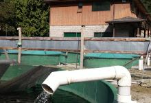 Sunshine Coast Salmonid Enhancement Society景点图片