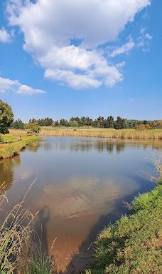 约翰内斯堡植物园-兰德堡