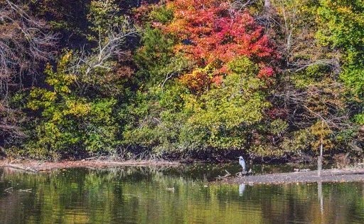Lake Lynn