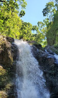 Ko'olau Forest Reserve-茂宜县