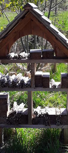 Bruce Starker Arts Park And Natural Area-科瓦利斯