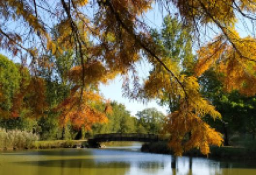 Parc Les Engoulevents du sud景点图片