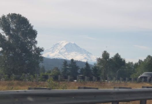 Otter Park景点图片
