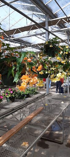 Davis Family Farm-本顿县