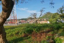 Bamunanika Park景点图片