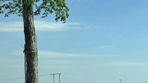 江野營地