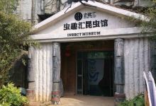 虫趣汇昆虫馆购物图片
