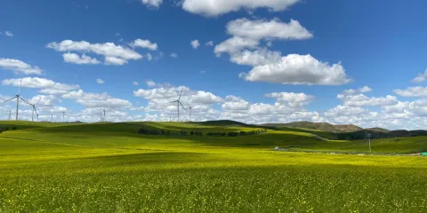 康巴諾爾國家濕地公園