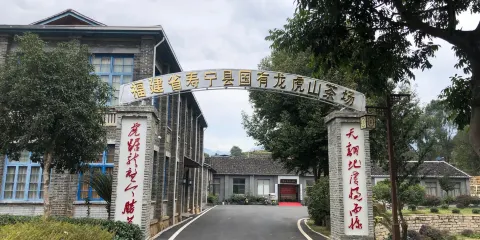 龍虎山茶場