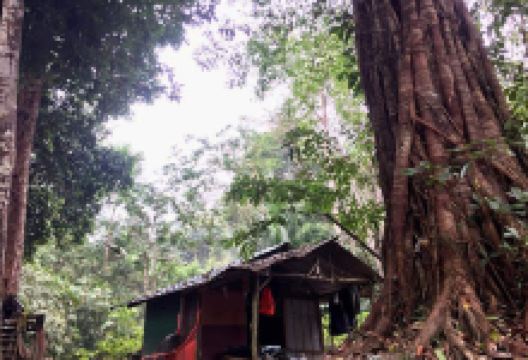 贪多县原住民部落景点图片