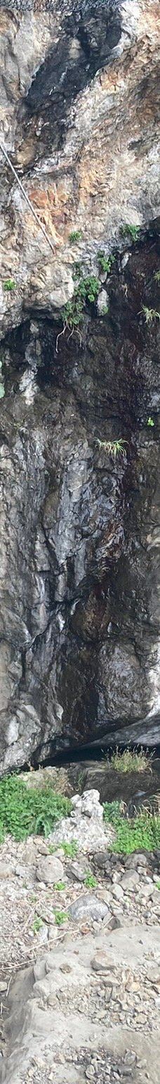 江之岛岩屋-藤泽市