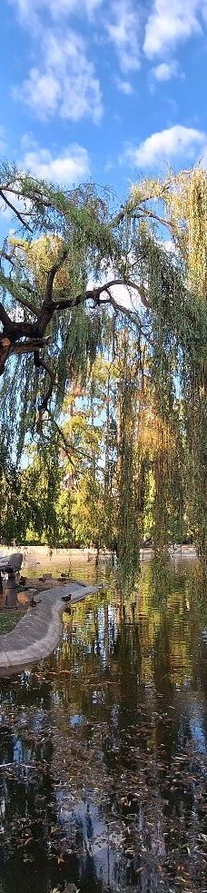 Danube Park-诺维萨德