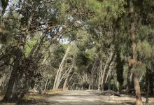 Bouskoura forest.景点图片