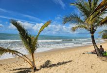 Coqueiros Beach景点图片
