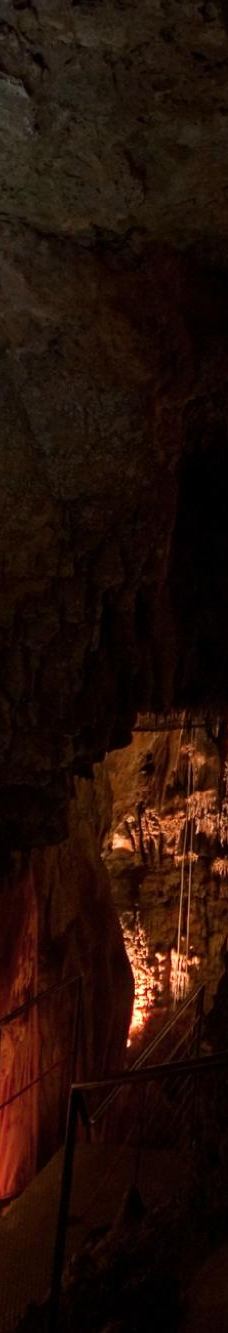 Jama - Grotta Baredine-Gedici