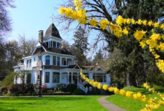 Deepwood Museum & Gardens景点图片