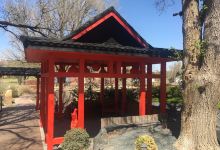 Amarillo Botanical Gardens景点图片