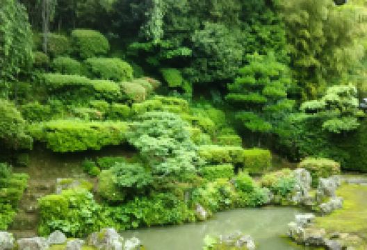 医光寺景点图片