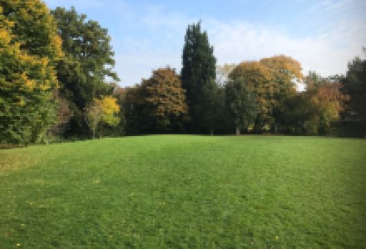 登泽尔花园景点图片