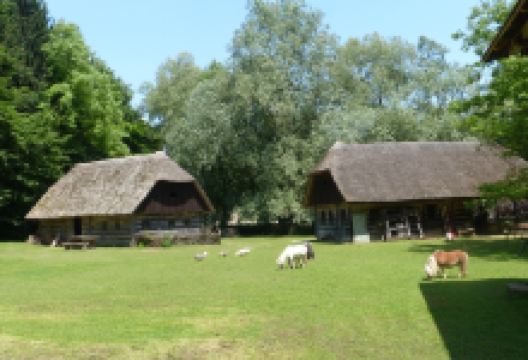 Open Air Museum Pleterje景点图片