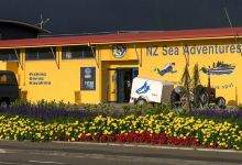 New Zealand Sea Adventures购物图片