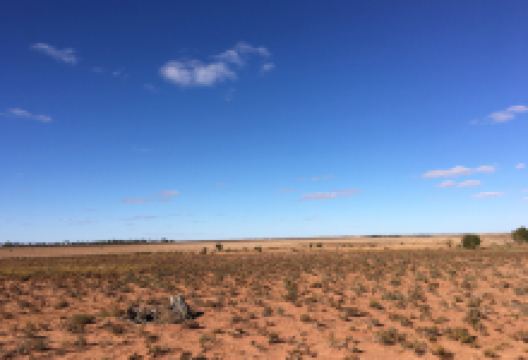 Paroo-Darling National Park景点图片