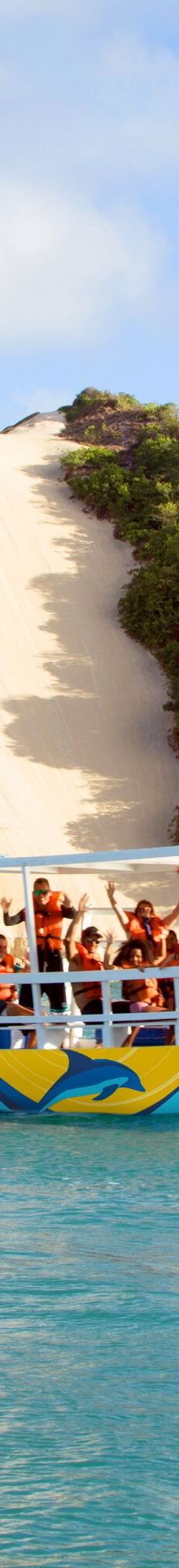 Jangalancha Show-纳塔尔