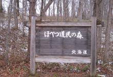 Hobetsu no Domin Mori景点图片