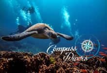 Compass Divers购物图片
