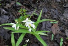 Kaldurg Fort景点图片