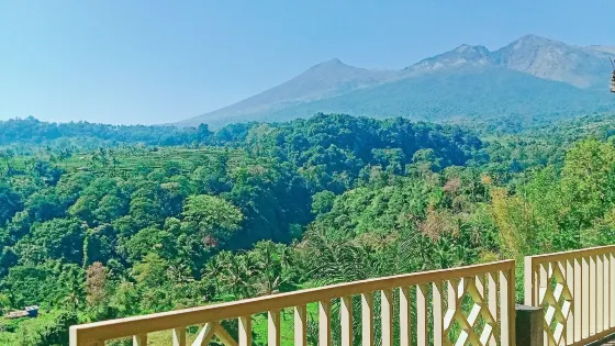 塞納魯村