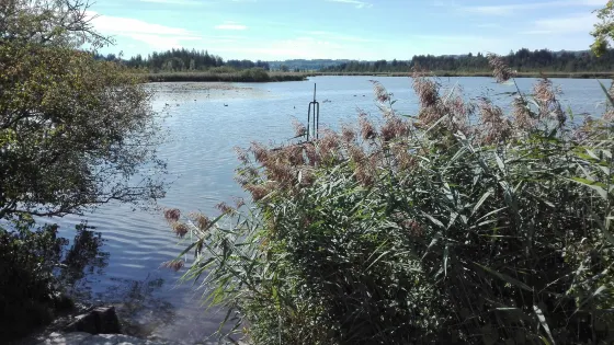Maisinger See