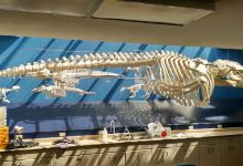 Bamfield Marine Sciences Centre景点图片