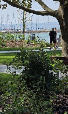 #hellosiofok sign-希欧福克