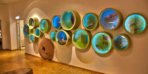 Pfalzmuseum fur Naturkunde