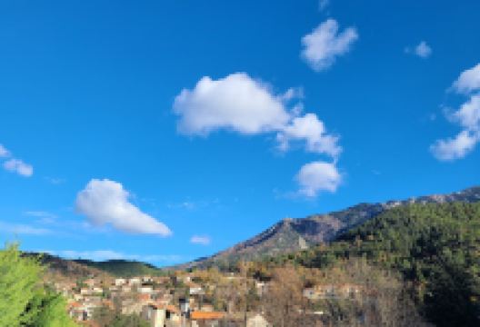 Village Arboretum景点图片