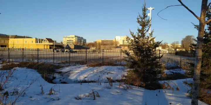 Mabel Davis Conservation Area