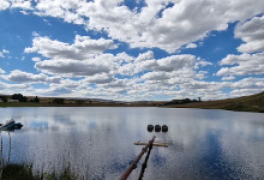 Groot-Suikerboschkop景点图片