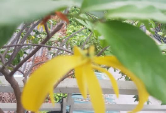 Sân vận động khối 8 phường Lê Lợi景点图片