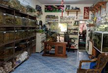 Costa Marinha Aquários - Aquários, peixes e acessórios购物图片