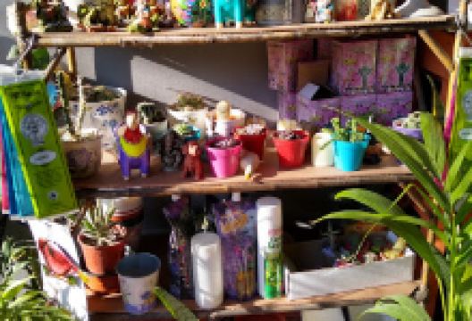 Vivero suyay购物图片