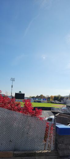 Binghamton Mets Baseball Club-宾汉顿
