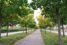 Allé södra esplanaden景点图片