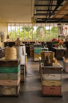 Big Island Bees-Honaunau-Napoopoo