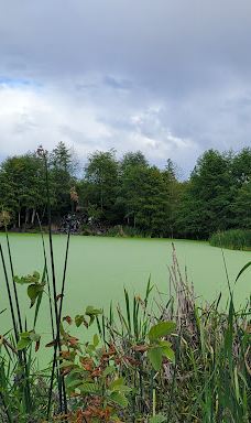 Talking Water Gardens-奥尔巴尼