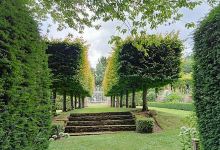 Upton Wold景点图片