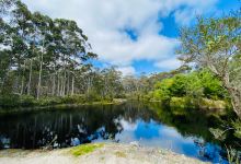 Northcliffe Bush Camp景点图片