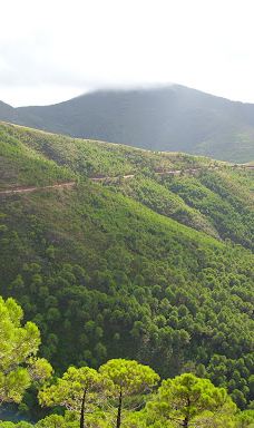 Paraje Natural Los Reales de Sierra Bermeja-Serrania de Ronda