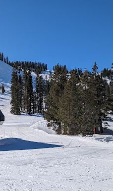 Sugar Bowl Resort-普莱瑟县